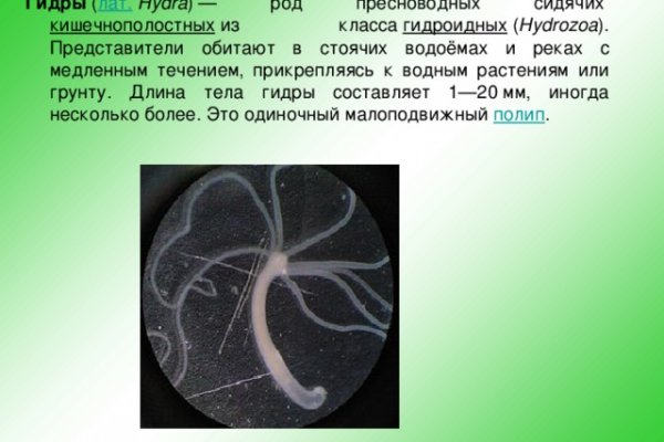 Kraken ссылка krakens13 at